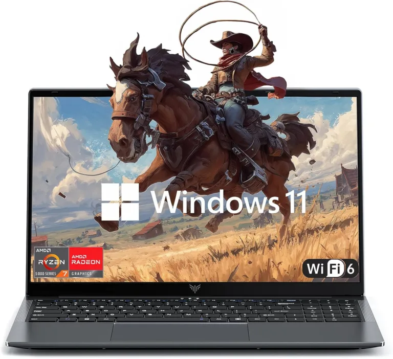 Best Laptop for Work and Play