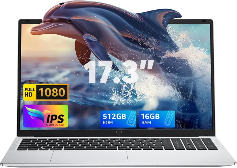 Best Laptop for Business and Entertainment
