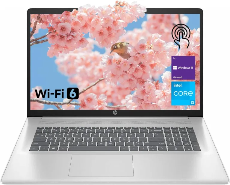 Best Laptop: HP 17.3″ Review