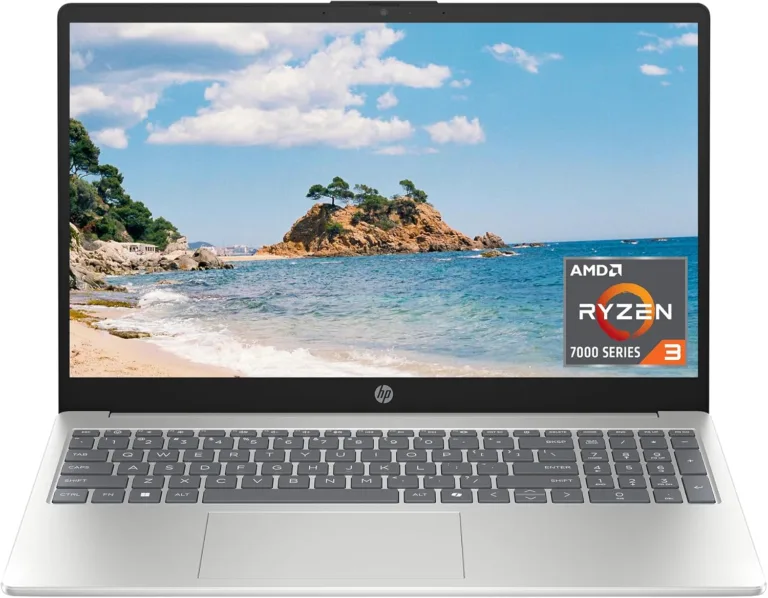 Best Everyday Laptop for Work & Play