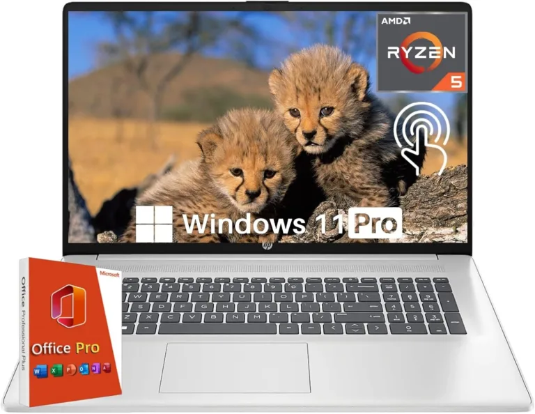 Best Laptop for Work and Play
