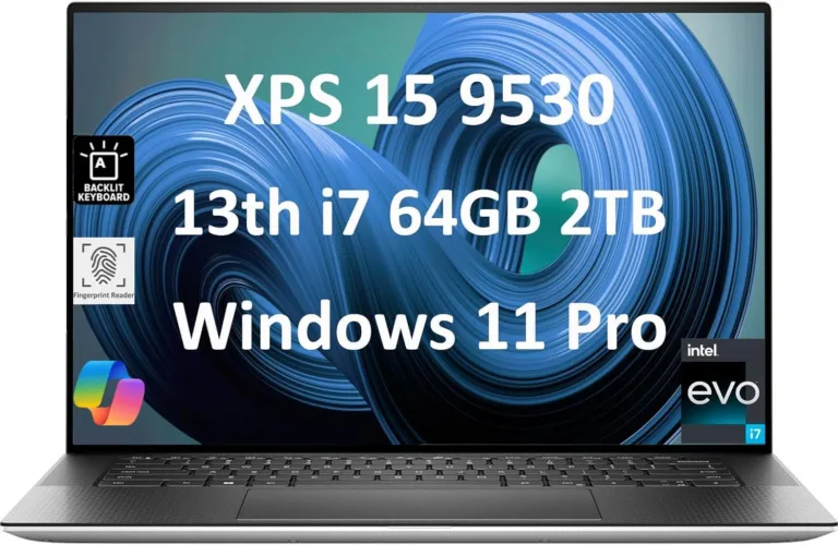 Best Laptop for Work and Play