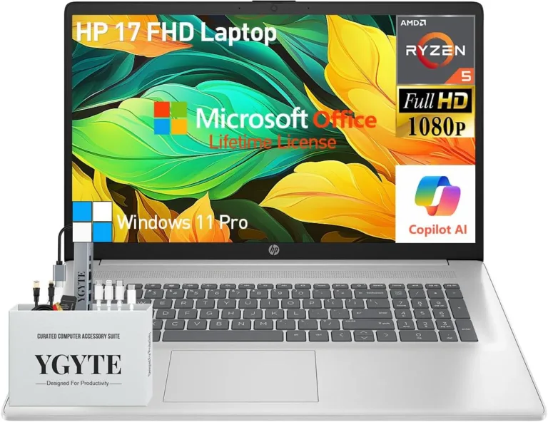 Best Laptop for Work and Play
